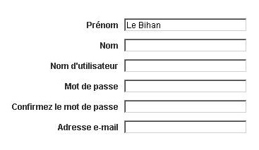 capture d’écran d’un formulaire label proche du champ